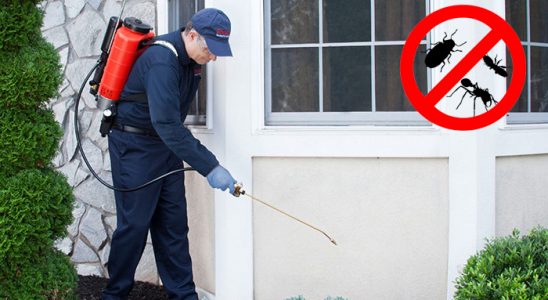 Konak Böcek İlaçlama böcek ilaçlama ve haşere kontrolü — ilaclama-tr.com